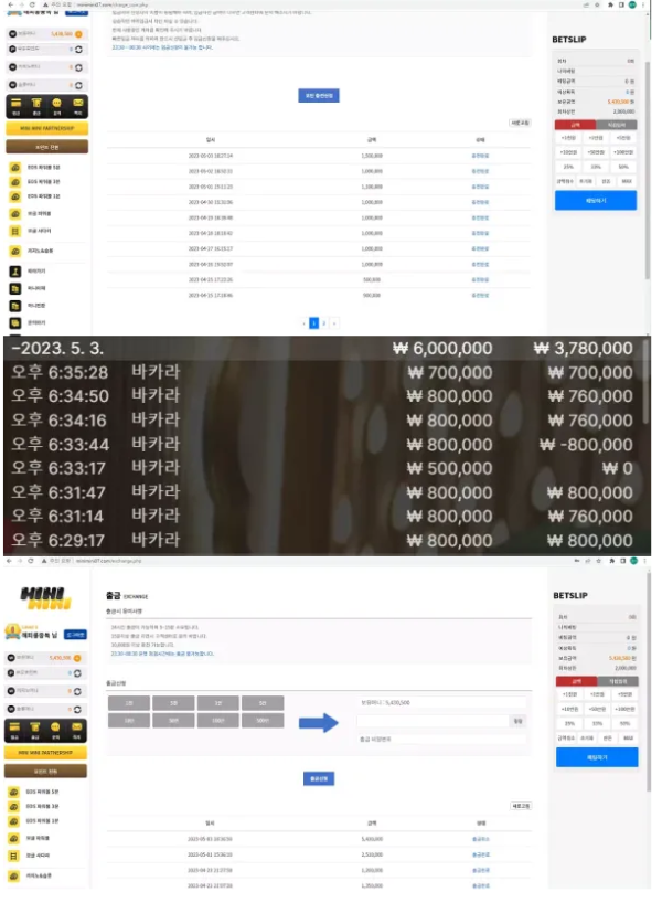 먹튀확정 먹튀사이트 ( 미니 미니 MINIMINI )