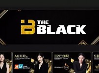 먹튀확정 먹튀사이트 (더블랙 THEBLACK)