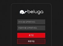 사설토토 벨루가 (BELUGA)